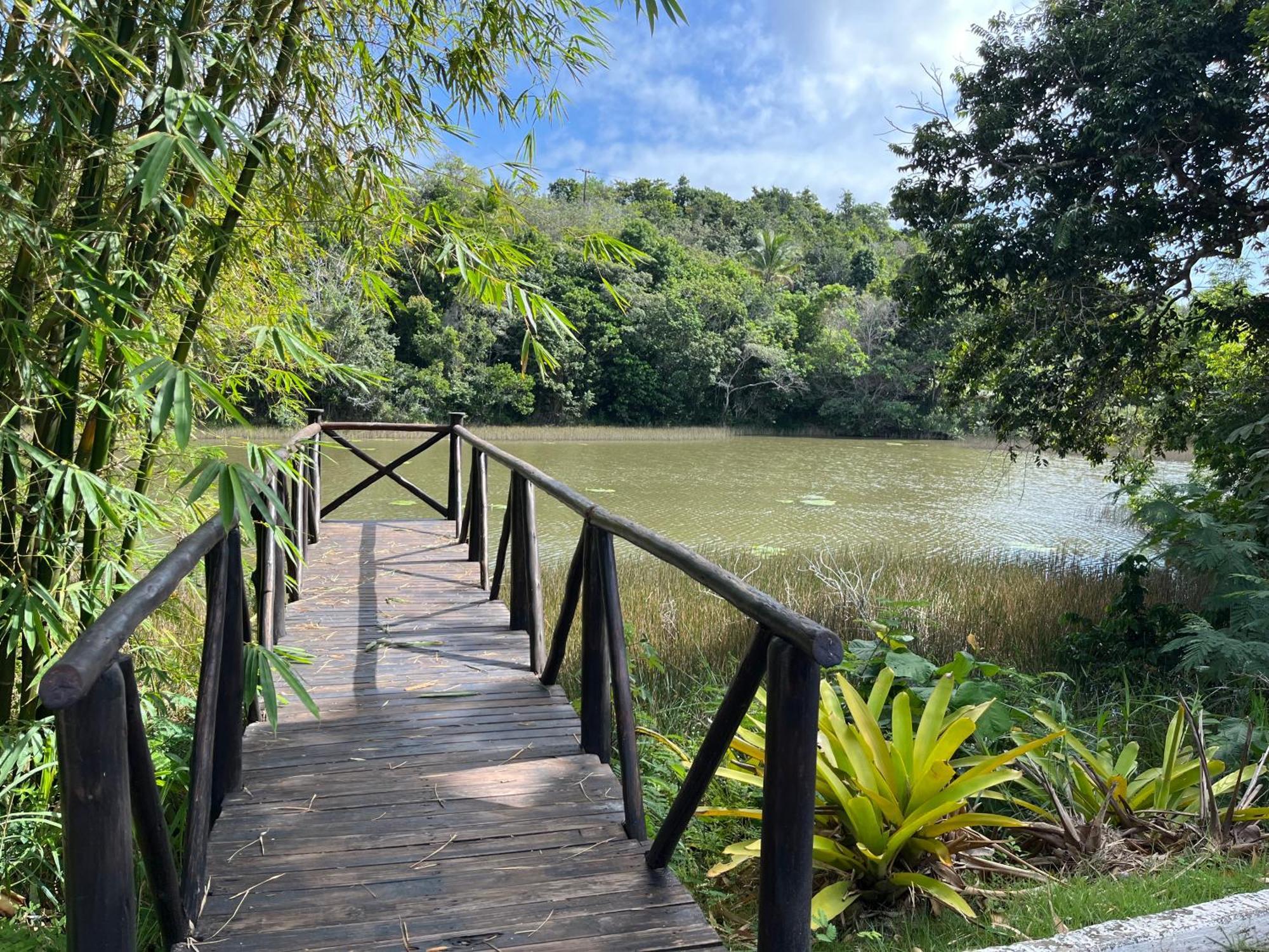 A Casa Luna * Porto Seguro